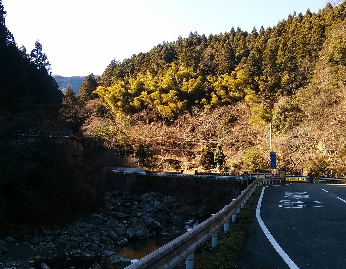 Road 438 (East side)