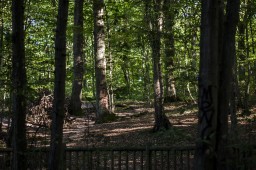 Bures-sur-Yvette 7