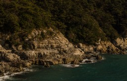 Yeongdo-Gu (Busan)