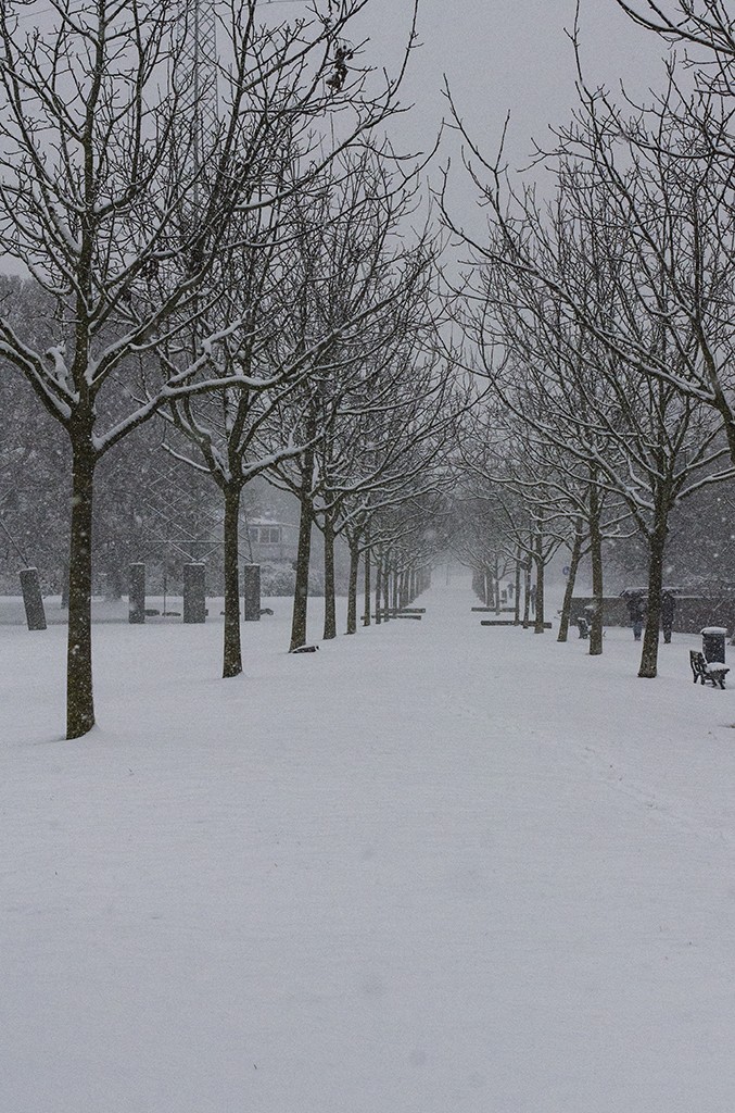 Frankfurt - Winter