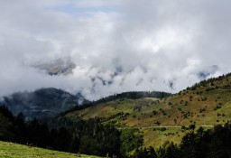 Col d'Aspin
