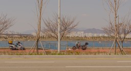 Near Eulsukdo