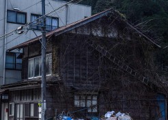 Okutama