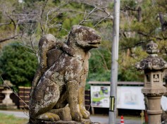 Shiroyamainari Shrine Guardian // 城山稲荷神社