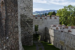 Burgruine Kirchschlag