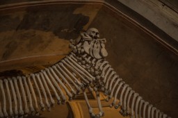 Sedlec Ossuary