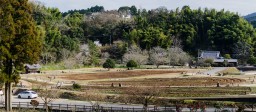 Near the Usuki Stone Buddhas // 臼杵市