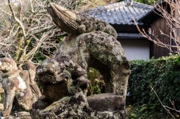 Shiroyamainari Shrine Guardian // 城山稲荷神社