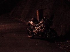 Late-Night Snack Stop