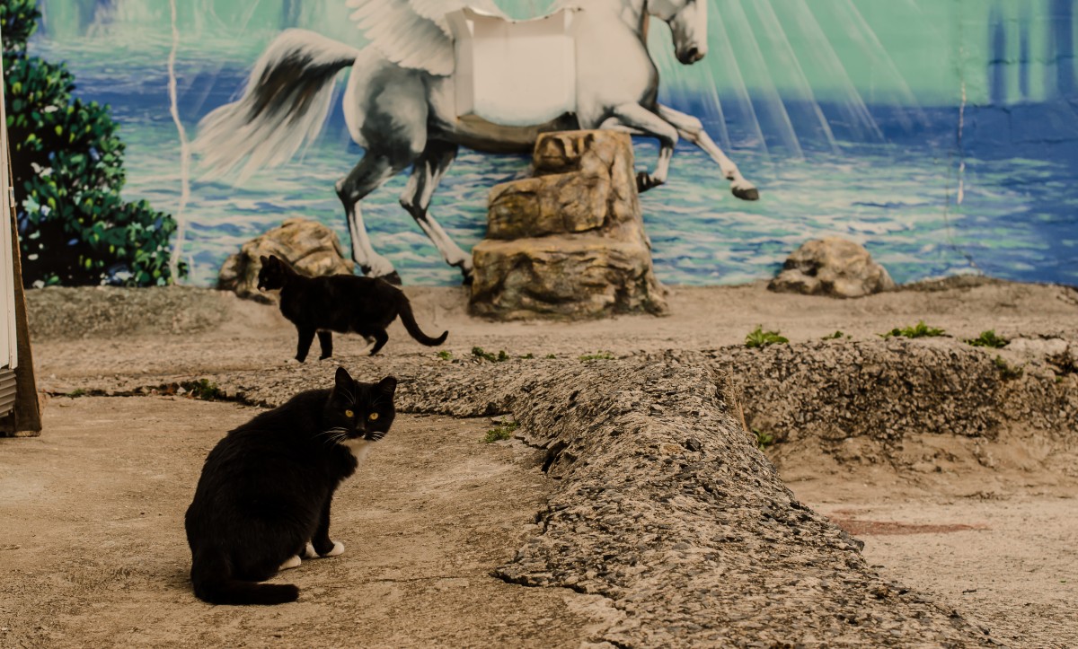 Angel Alley (Yeosu)