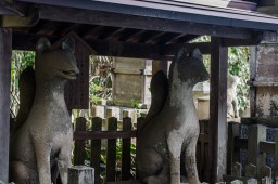 Shiroyamainari Shrine // 城山稲荷神社