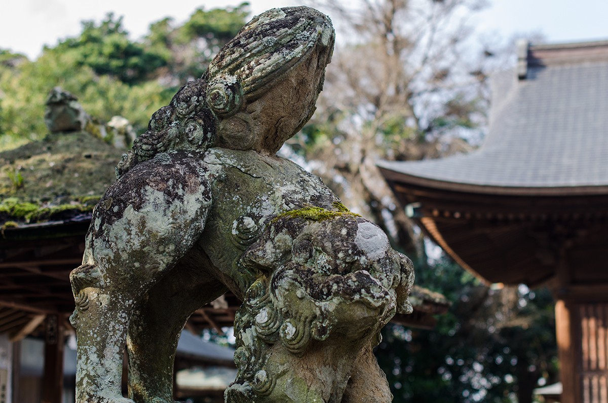Matsue Shrine Guardian // 松江神社