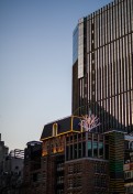 Colorful Tree (Seoul)