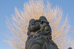 Shrine Guardian