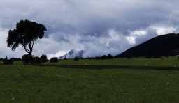 Austria, somewhere near Italy