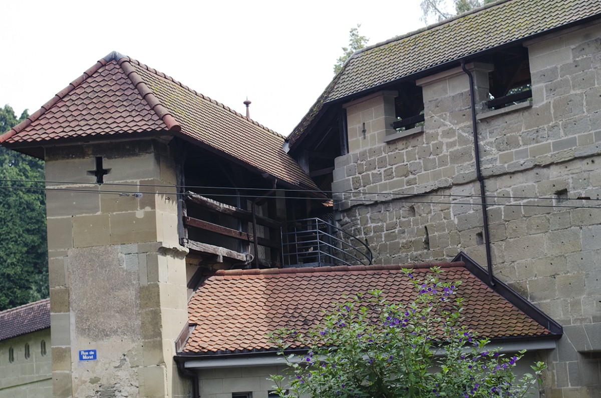 Friburg2