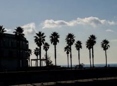 Awaji // 淡路