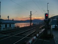 Rüdesheim