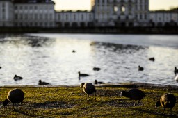 Schloss Nymphenburg