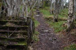 Path 13