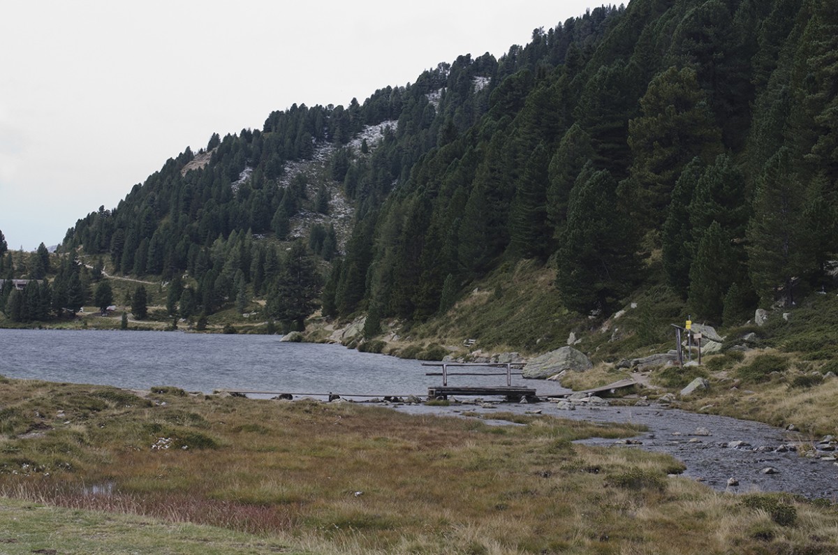 Stalle Pass 16