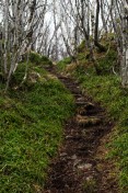 Path 14