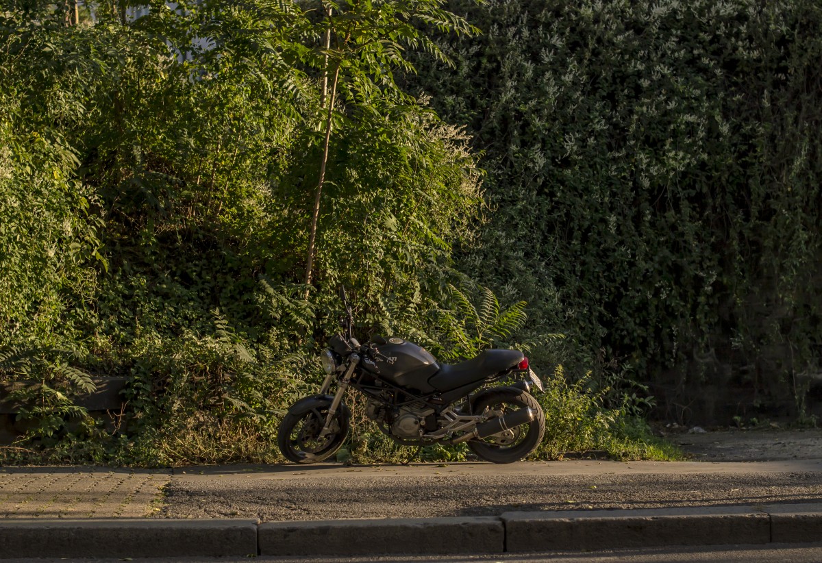 Black Monster