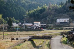 Near Usuki Stone Buddhas // 臼杵市