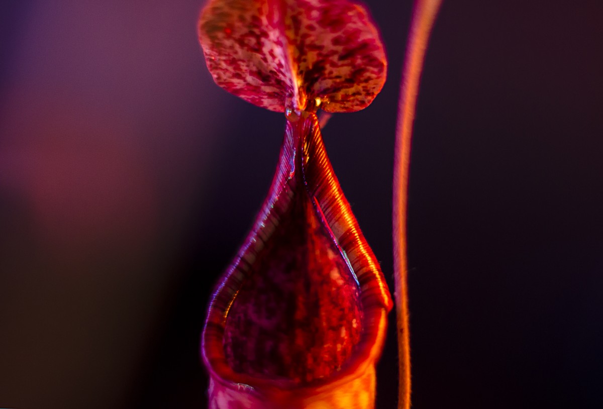 Color Exploraton