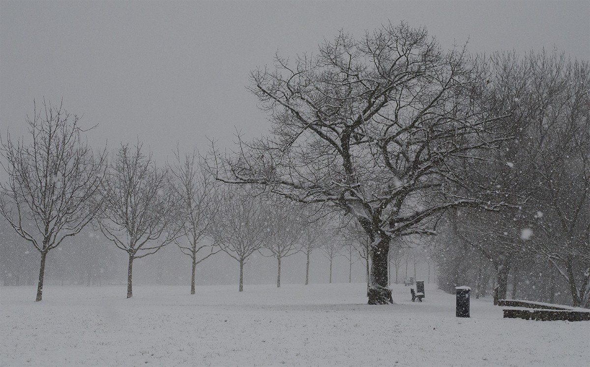 Frankfurt - Winter