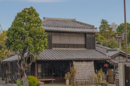 In Yanaka
