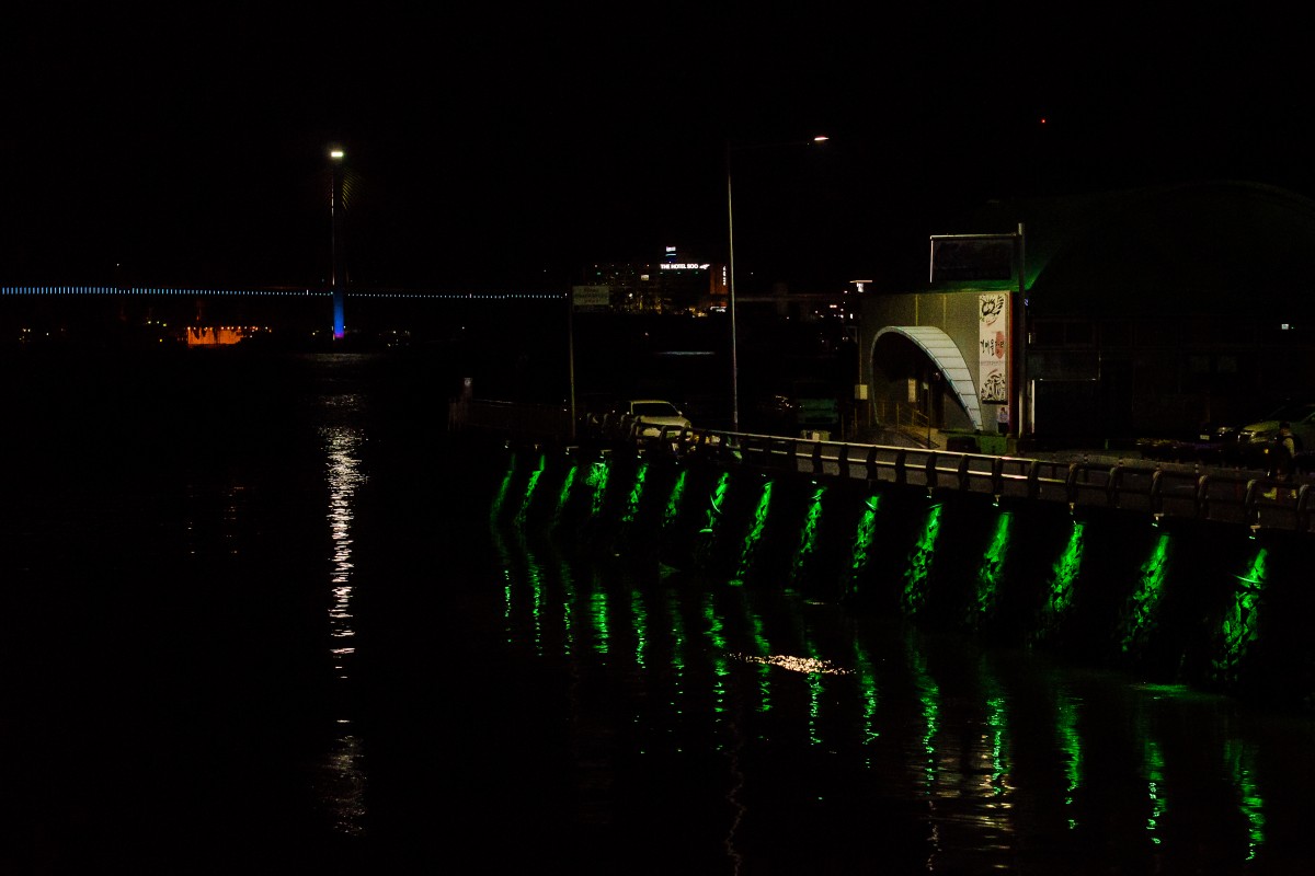 Yeosu Fish Market After Dark