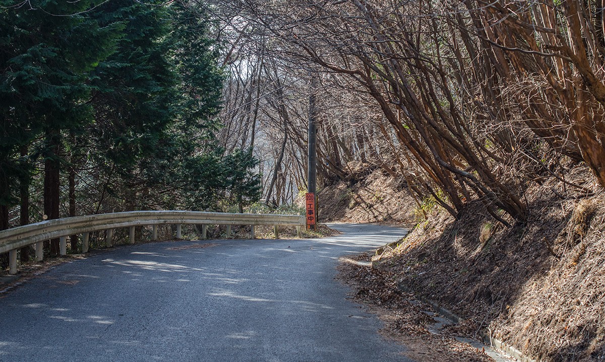 The road up Akagi