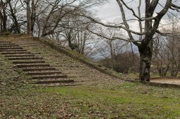 Oka Castle Ruins (Oita)