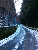 Road 438 (North side)