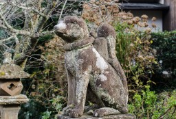 Shiroyamainari Shrine Guardian // 城山稲荷神社