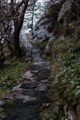 Path 07