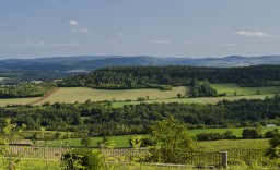 Vézelay 11