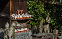 Shiroyamainari Shrine // 城山稲荷神社