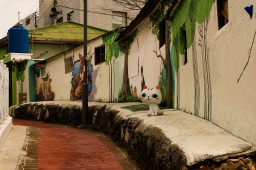 Angel Alley (Yeosu)