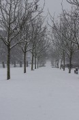 Frankfurt - Winter