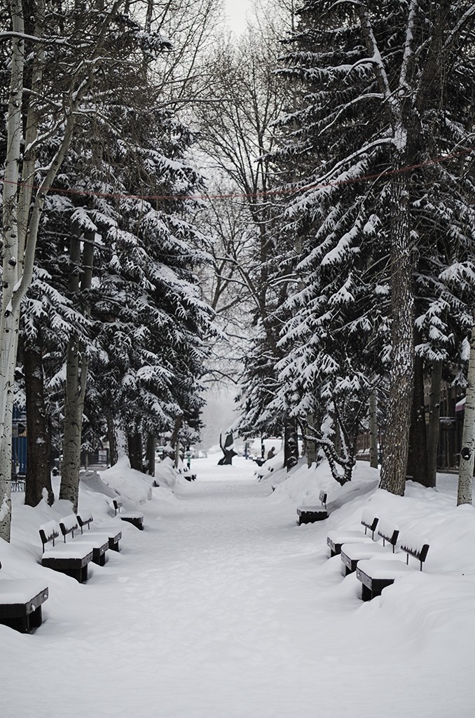 Snowy Path