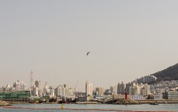 Busan