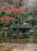 Hibiya Park // 日比谷公園