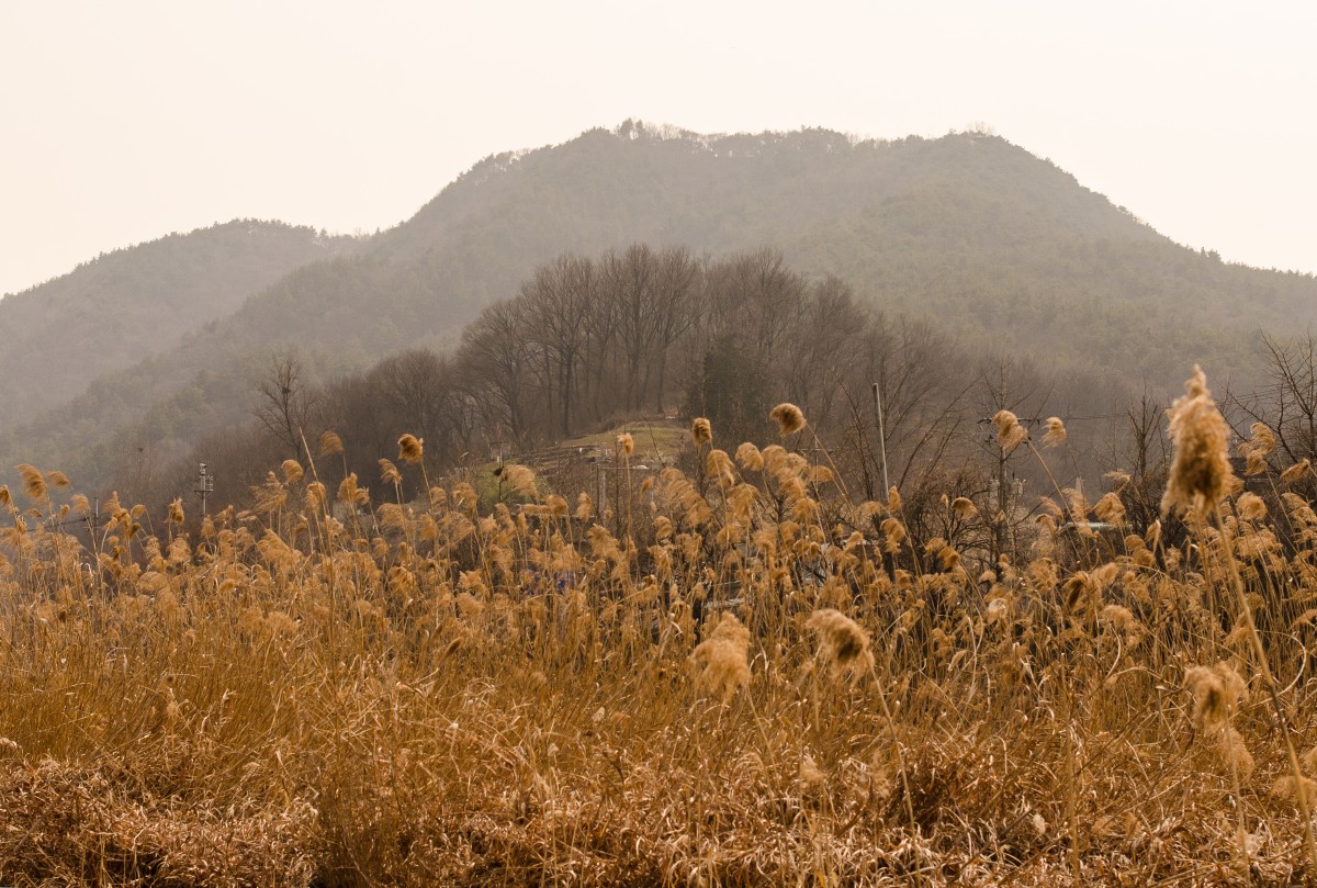 Jeonju River