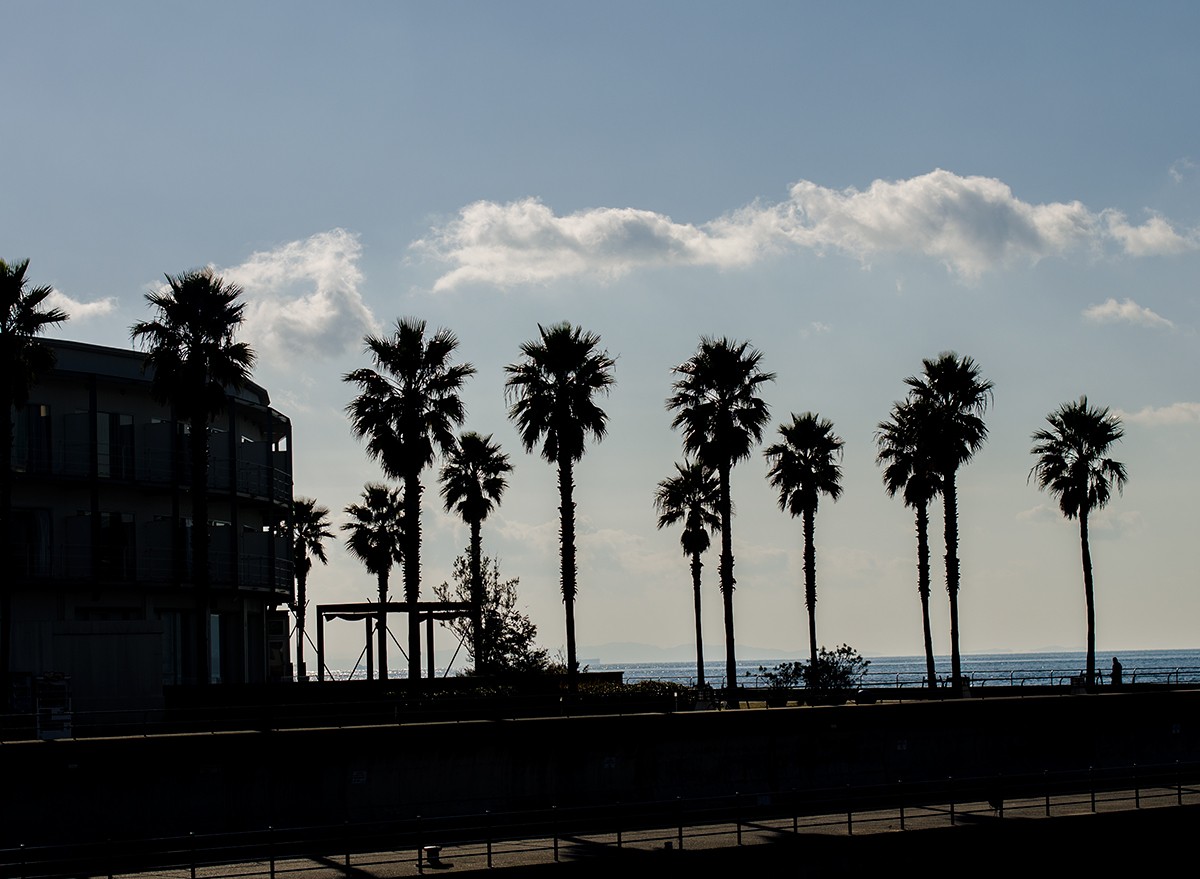 Awaji // 淡路