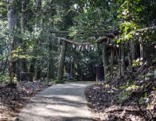 Hiyoshi Shrine Entrance (Usuki) // 臼杵市