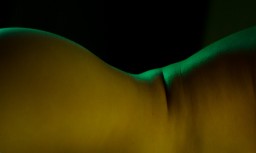 Color Exploraton
