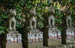 Shiroyamainari Shrine // 城山稲荷神社