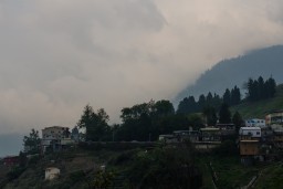 Lishan // 梨山